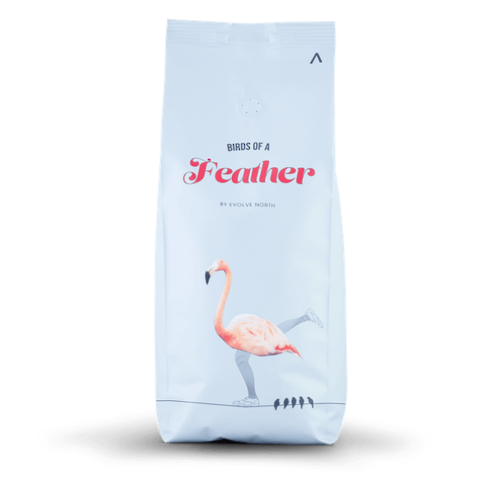 Birds Of A Feather Whole Roast Coffee Beans 1kg