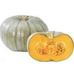 Pumpkin Grey (per 100g)