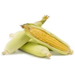 Corn - single