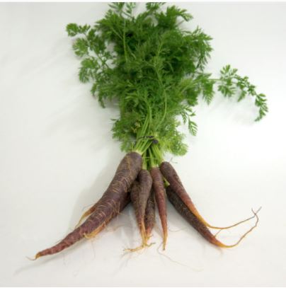 Carrots Dutch Purple Prepack