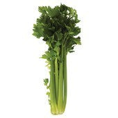 Celery